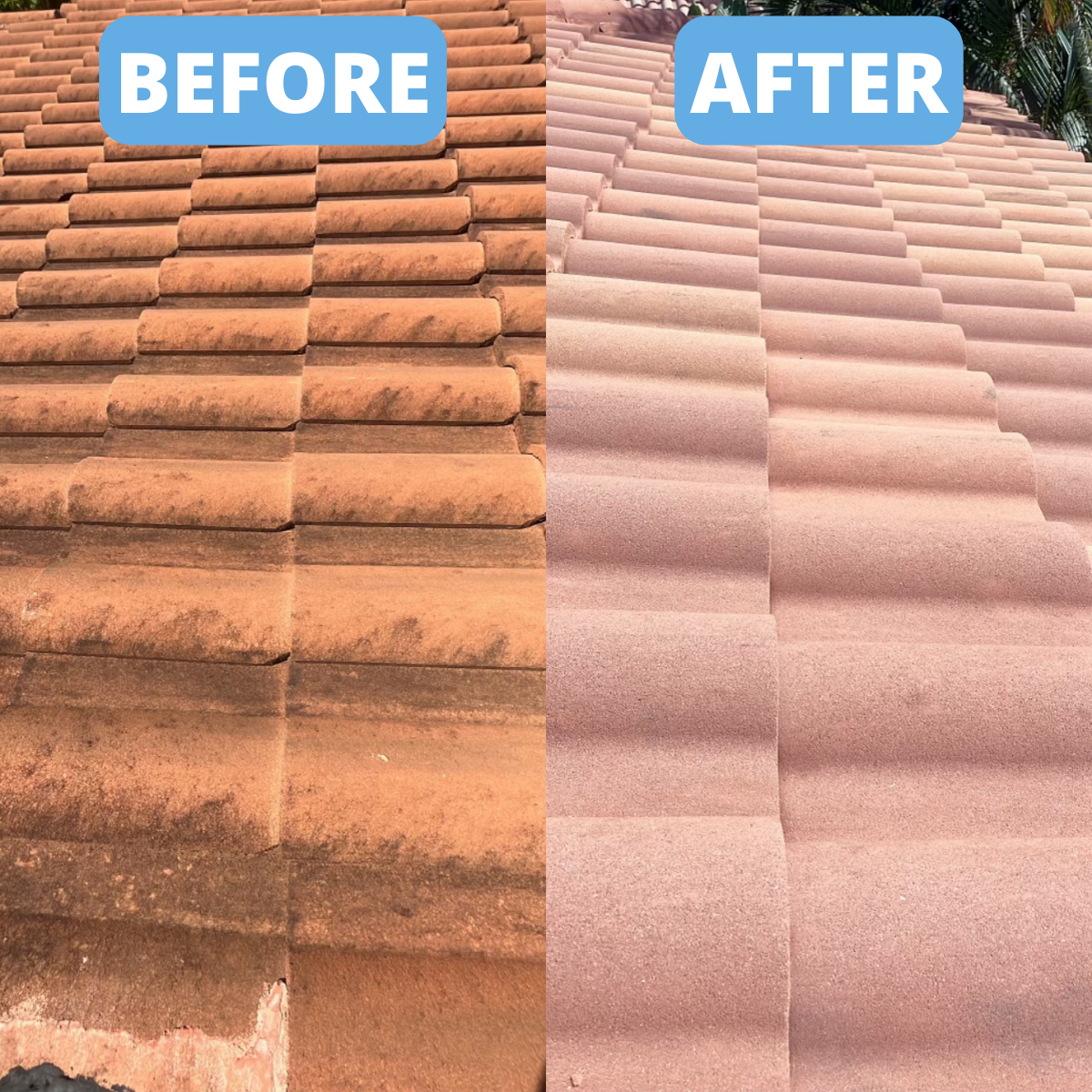 Window Hero Boca Raton Image