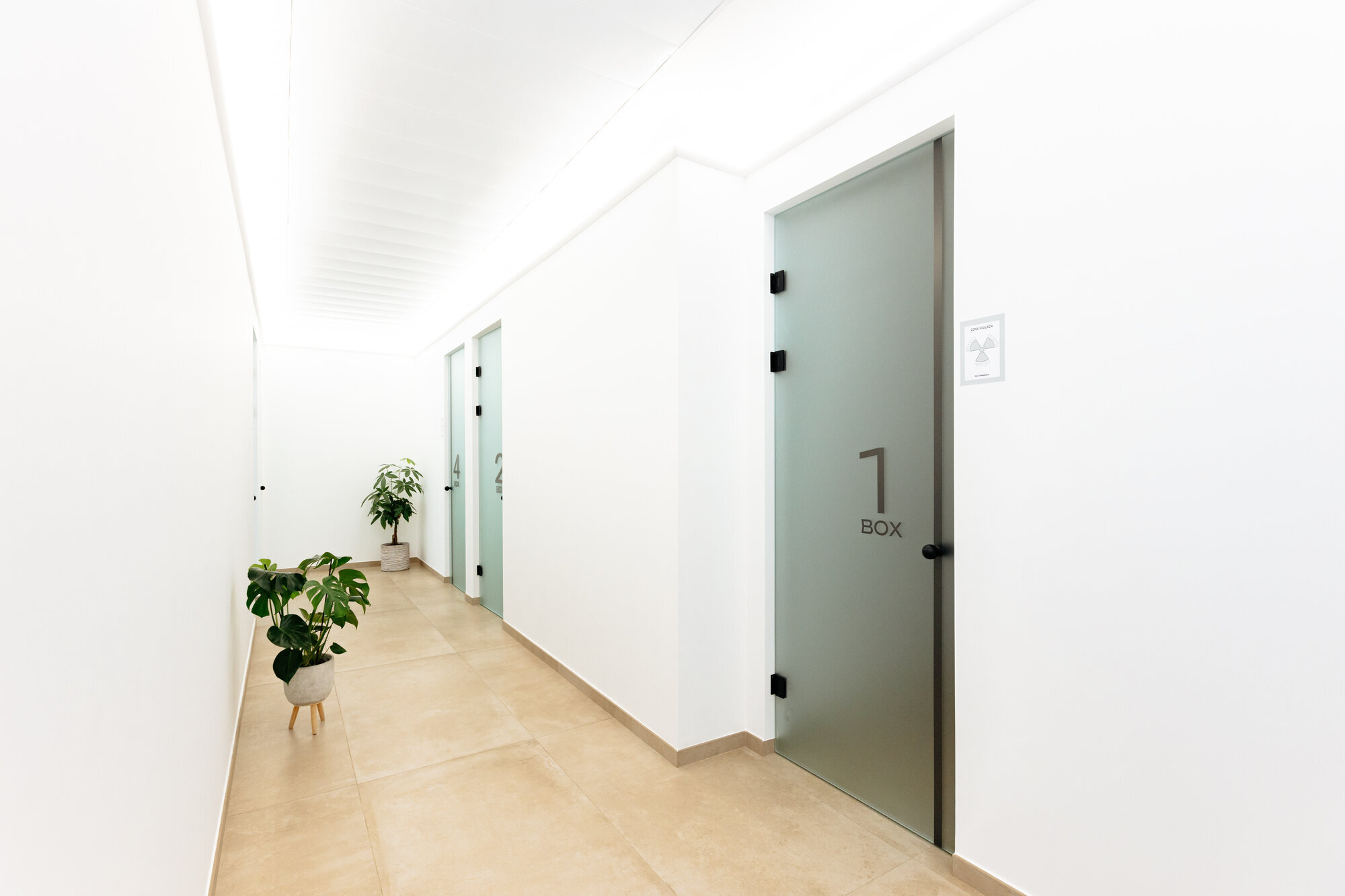 Galería en miniatura