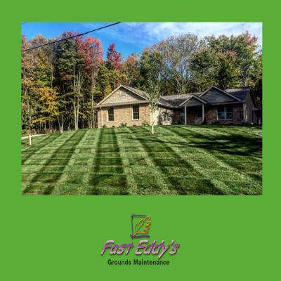 TURF CARE PROGRAM
