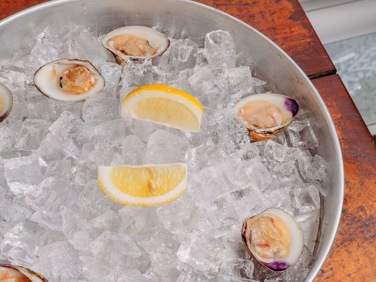 1/2 Dozen Clams