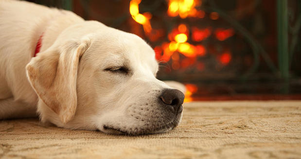 Images D & D Heating & Cooling Inc