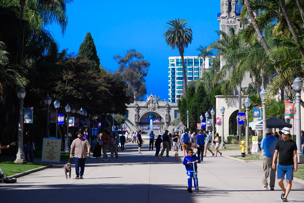 My Canvas Portraits Image