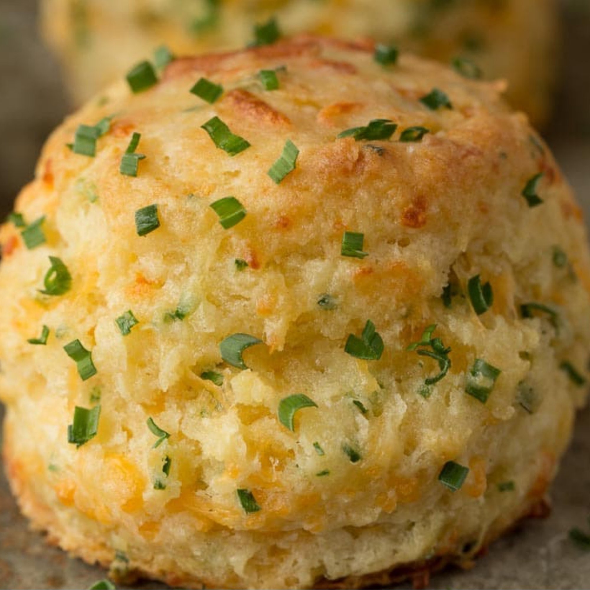 Cheddar Chive Jalapeno Biscuit