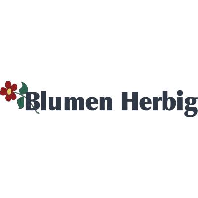 Logo von Blumen Herbig