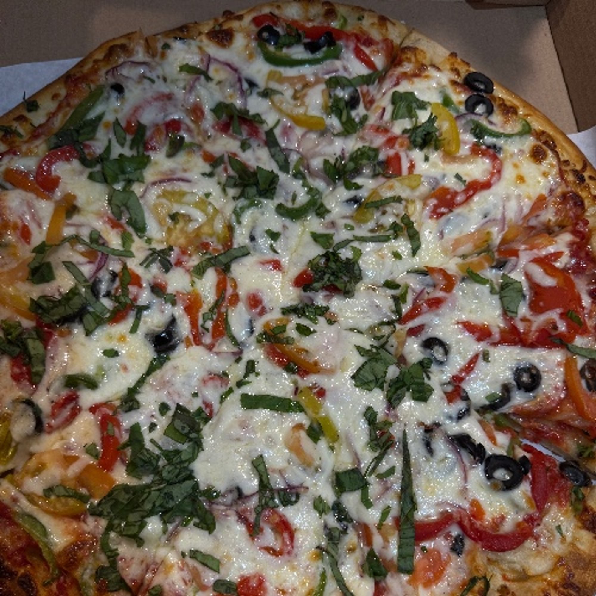 Vegetarian Pizza
