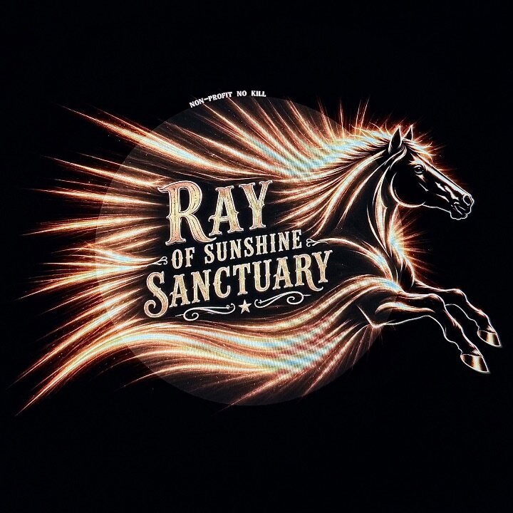 Ray Of Sunshine Sanctuary