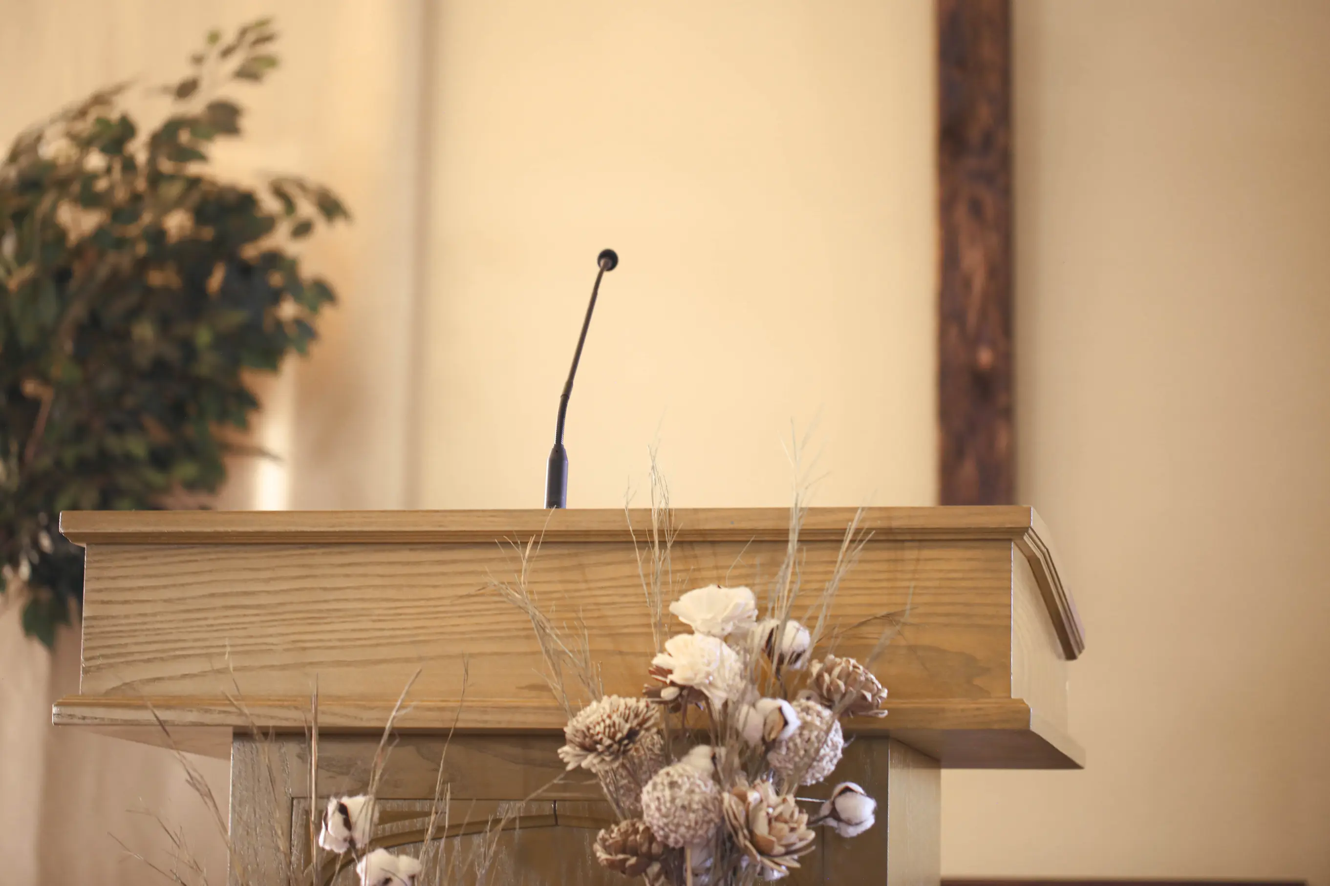 Sovereign Grace Baptist Church Image