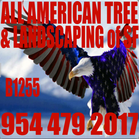 All American Tree Services &amp; Landscaping of South Florida Inc. Logo