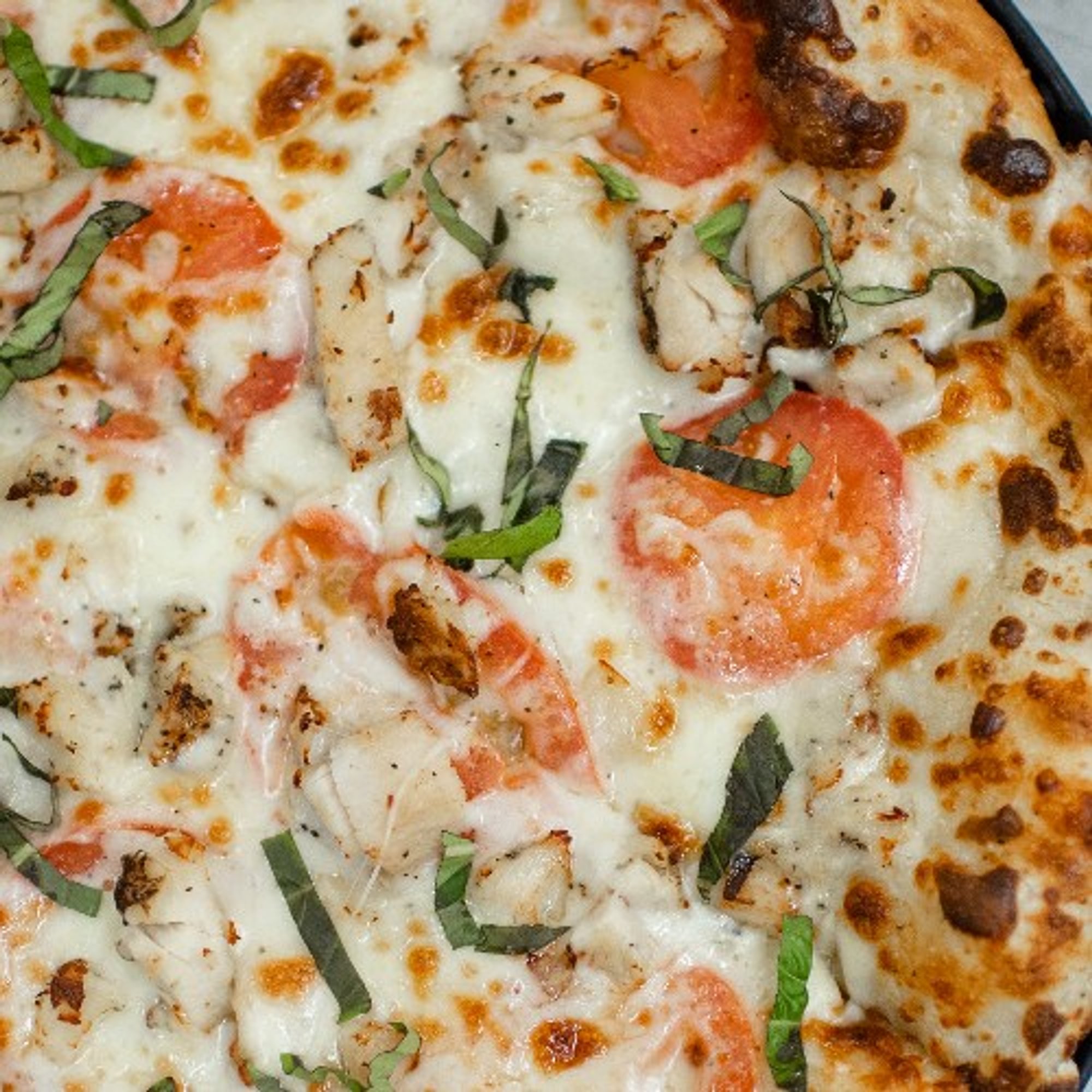 Chicken Alfredo