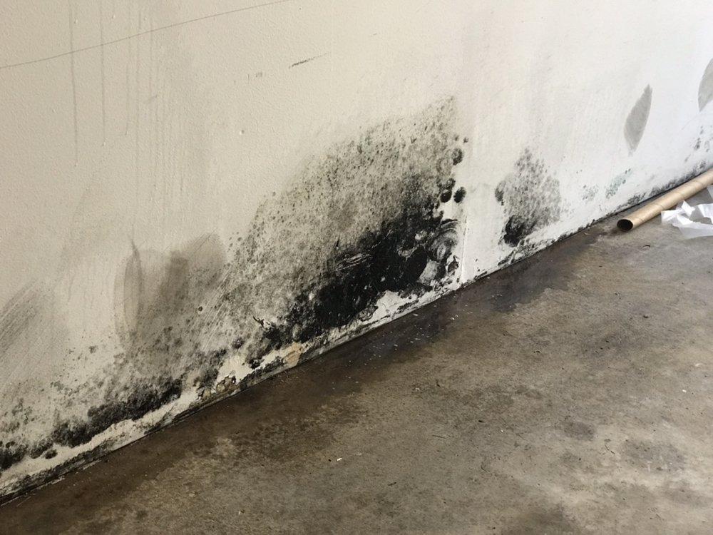 Diamont Water Damage Restoration