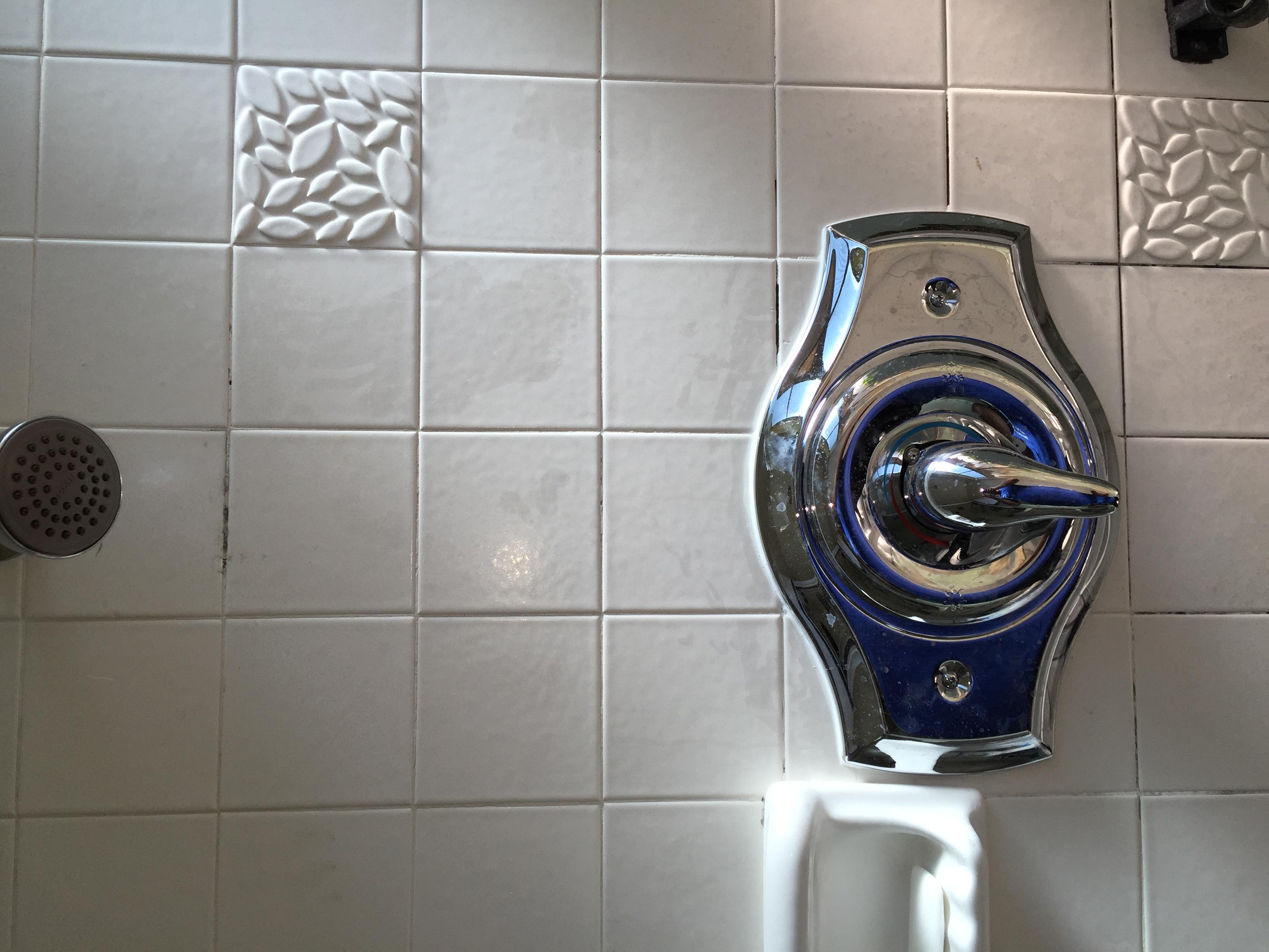 Replace 3 handle shower valve to a single handle valve with smitty plate moen