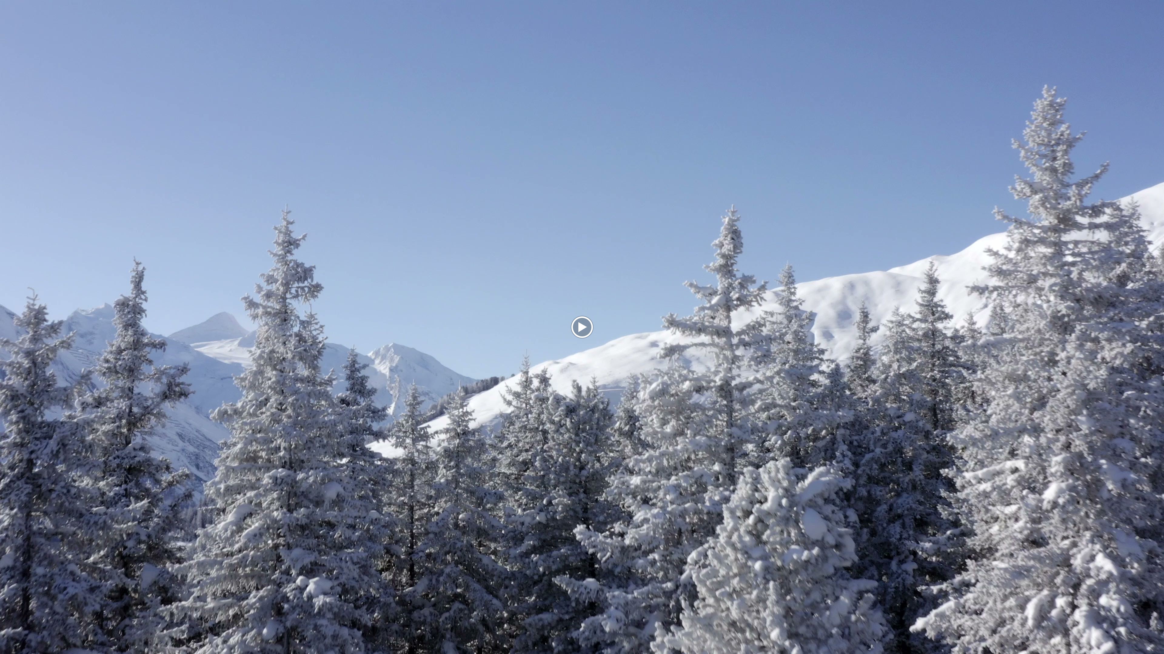 Foto de Skischule Skiguru-Zillertal