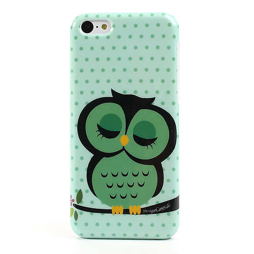 Case