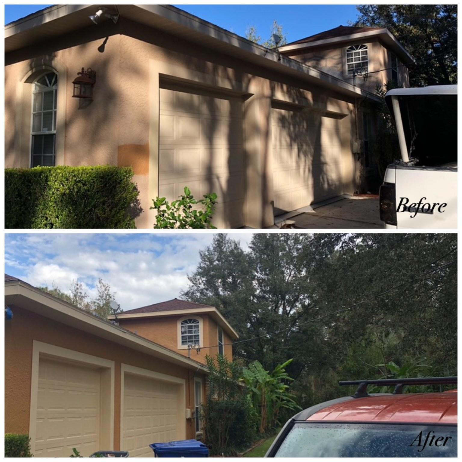 Peach Painting Image