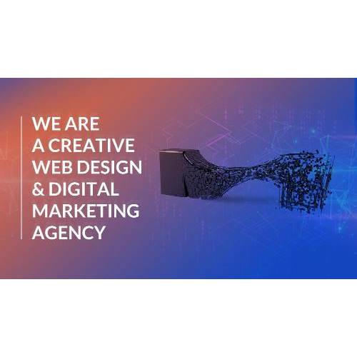 Maximize Studio | Website Design & Digital marketing Agency