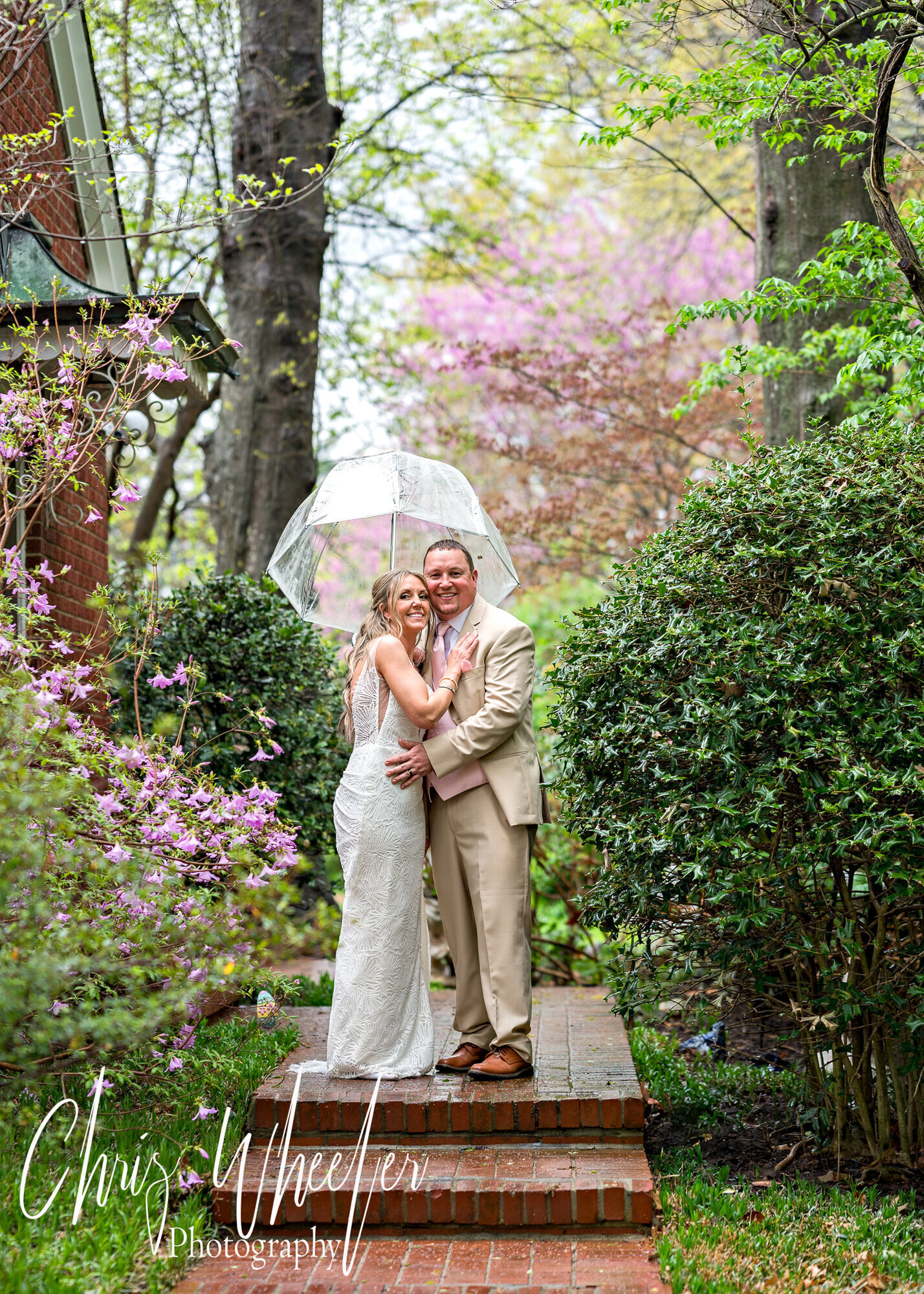 Chris Wheeler Photography Image