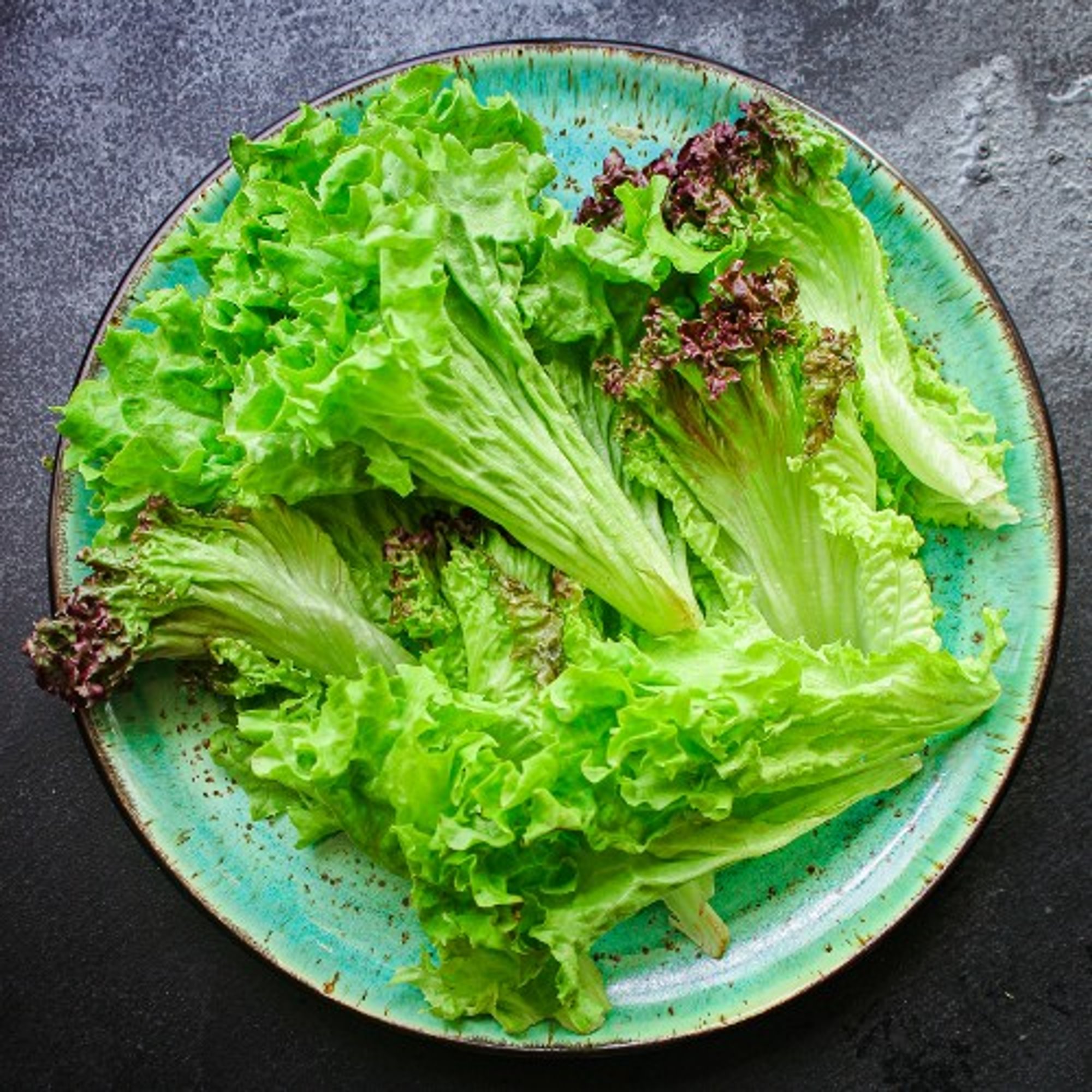 Lettuce
