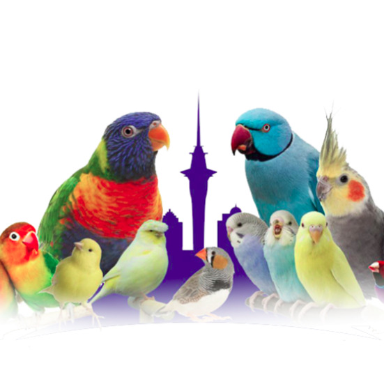Quality Birds Online Parrot for sale Logo