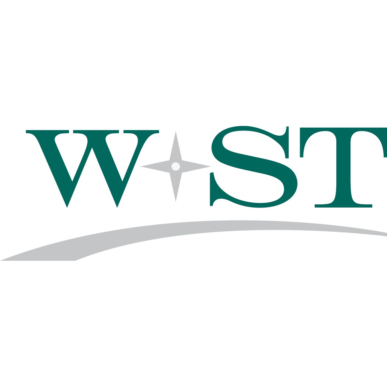 Logo von W + ST Steuerberatung GmbH