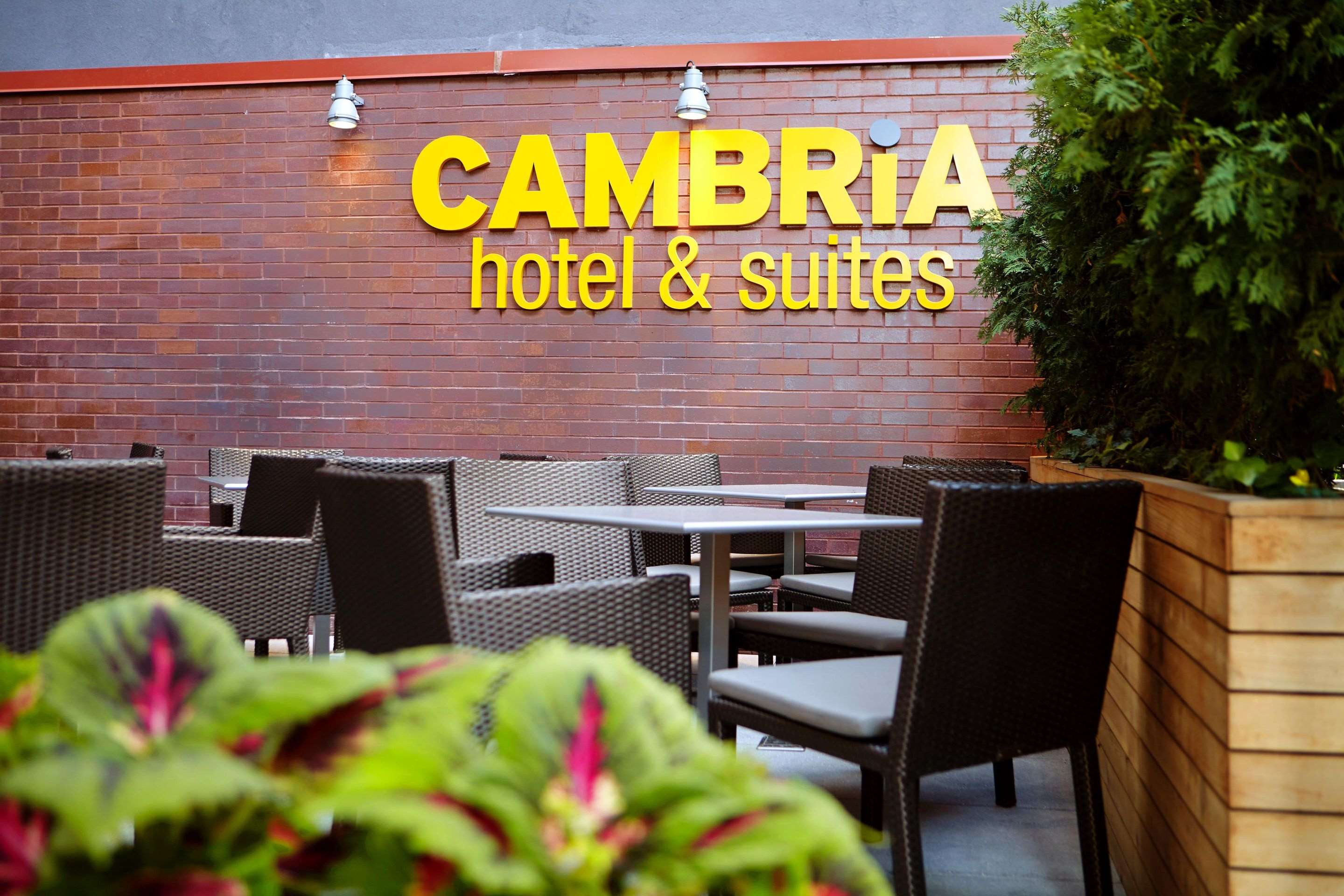 Cambria Hotel New York - Chelsea Photo