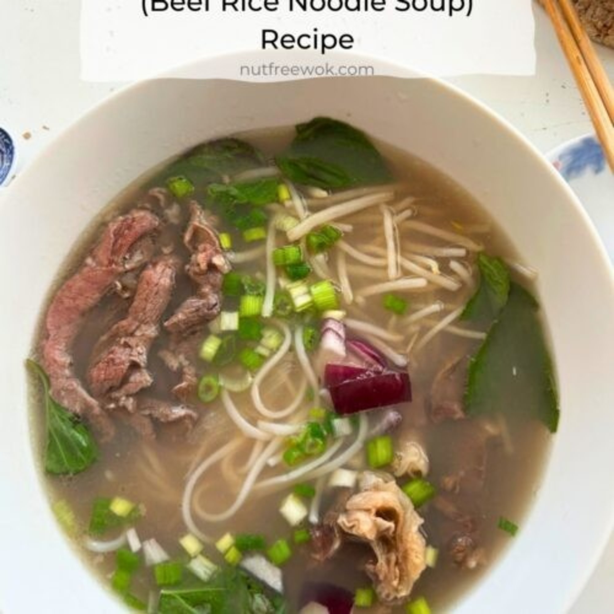 Vietnamese Beef Noodle Soup