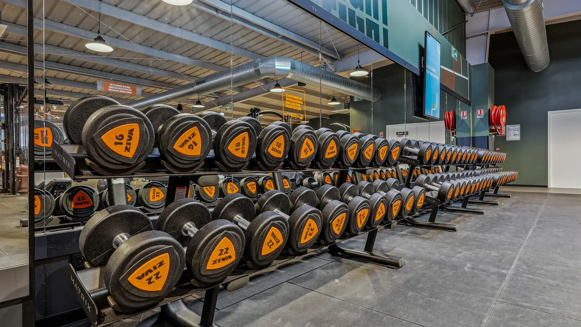 Miniature de la galerie