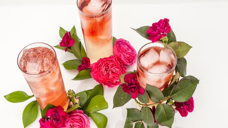 Dama Mocktail