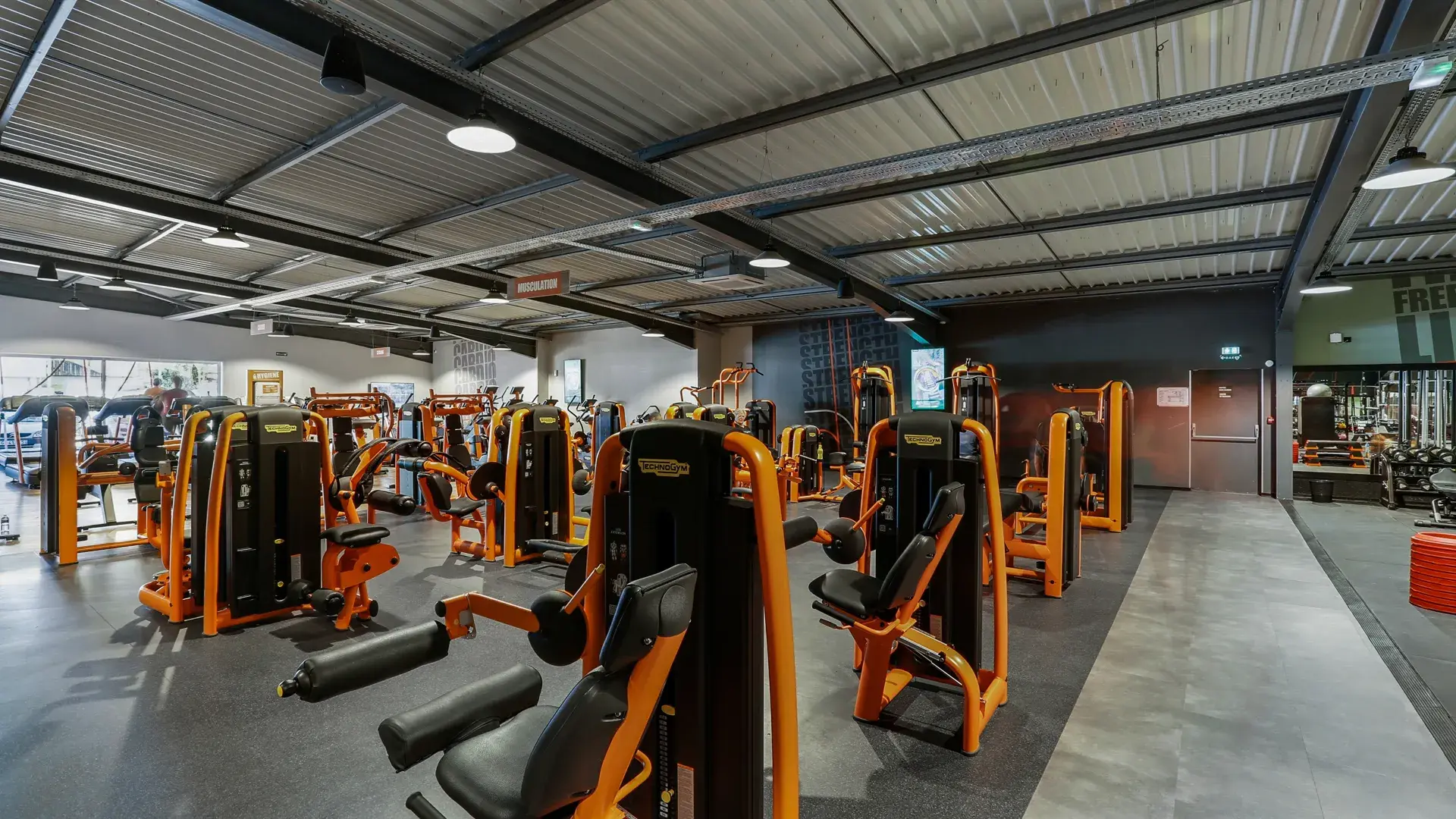 Miniature de la galerie