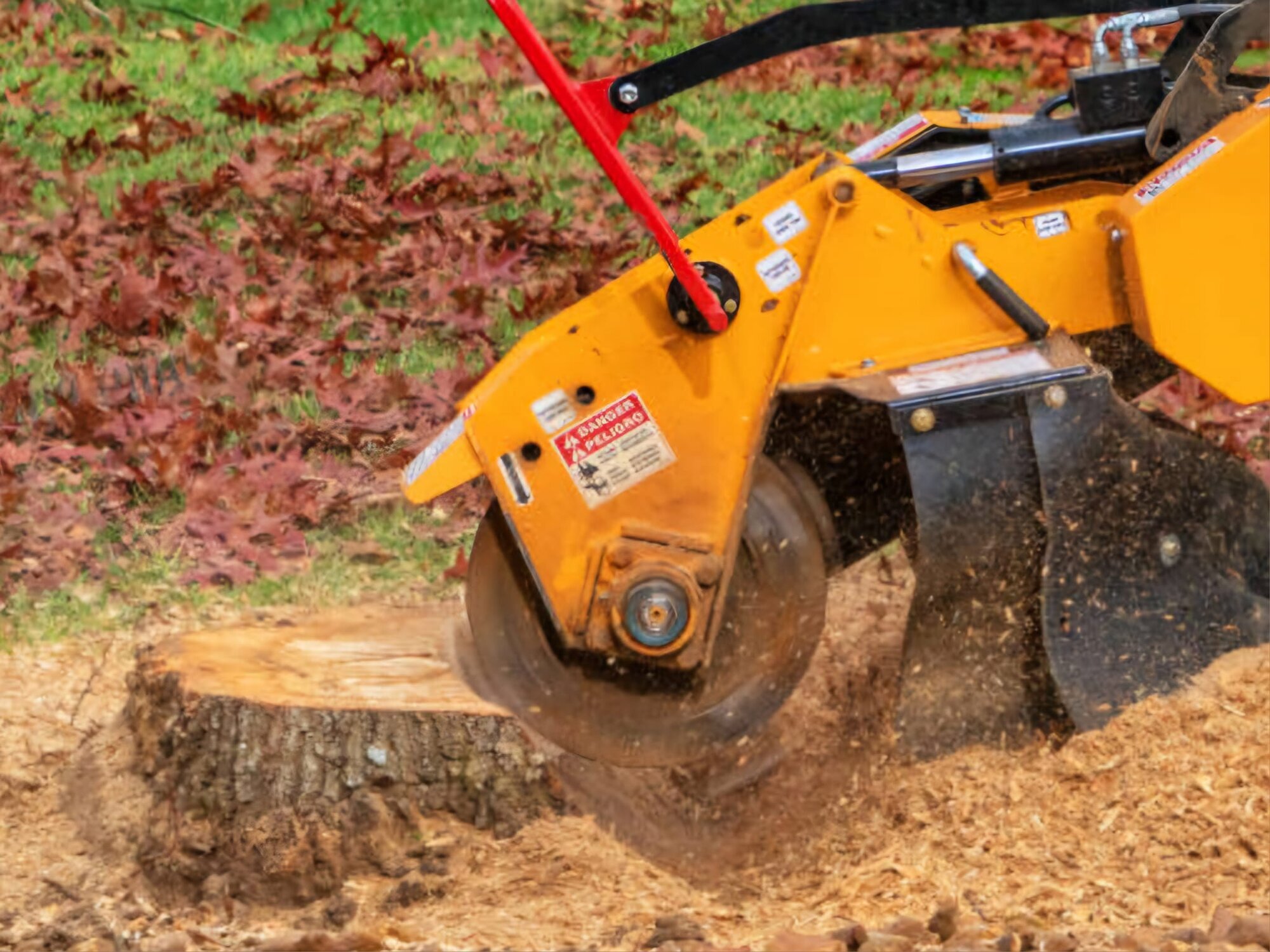 ALPHA TREE CARE LLC Image