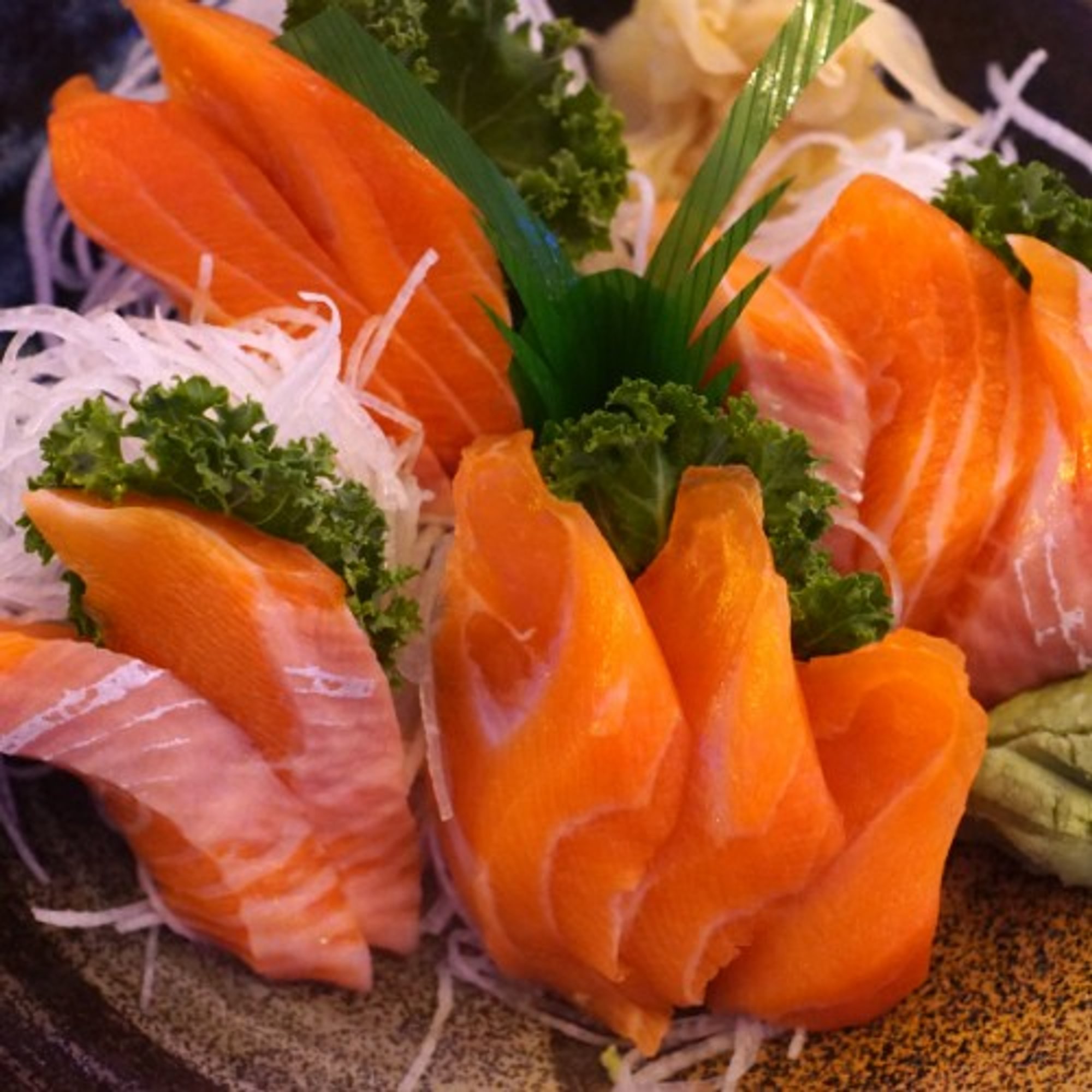 Salmon Sashimi