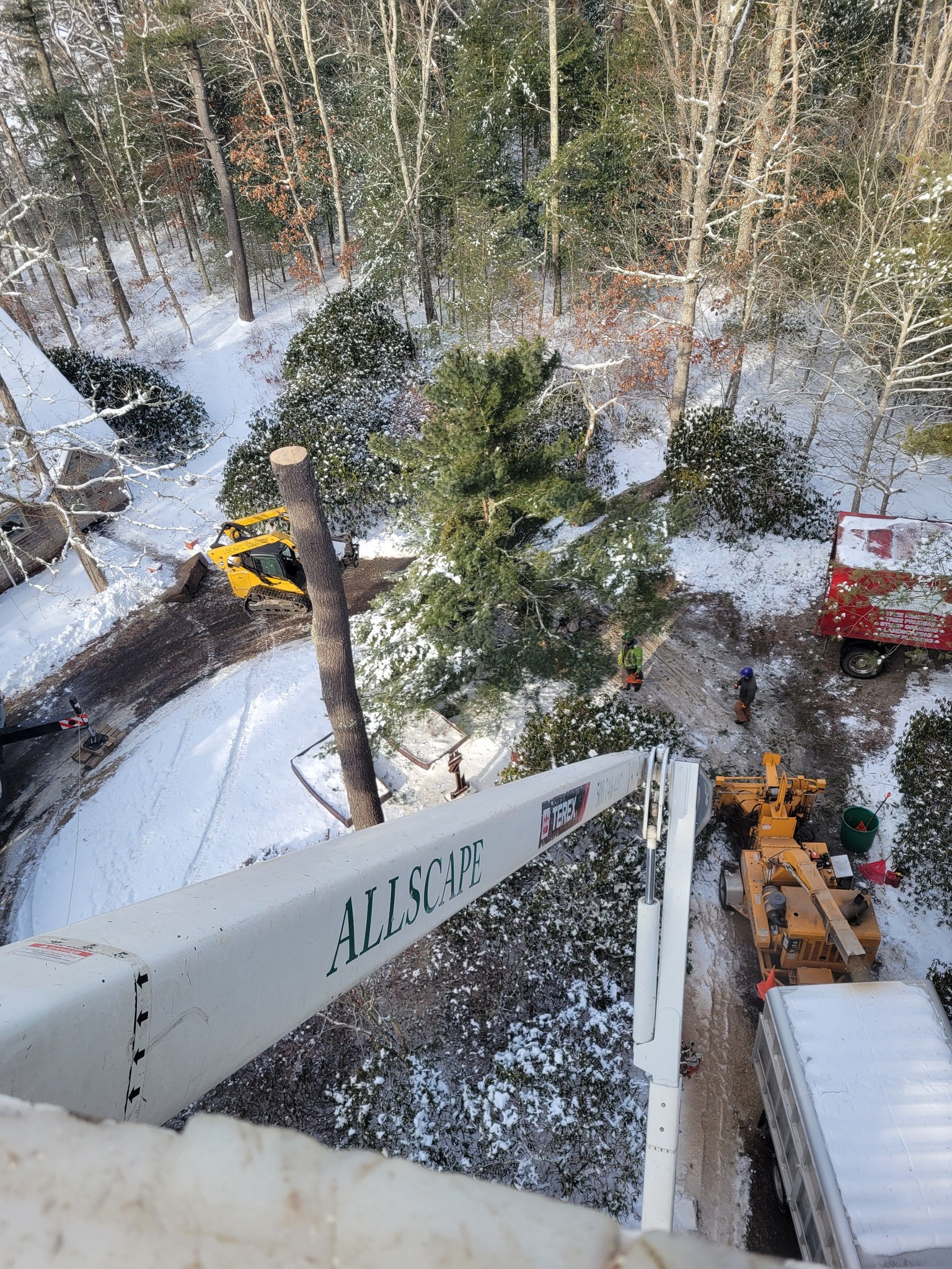 Allscape Tree & Turf Services, Inc. Image