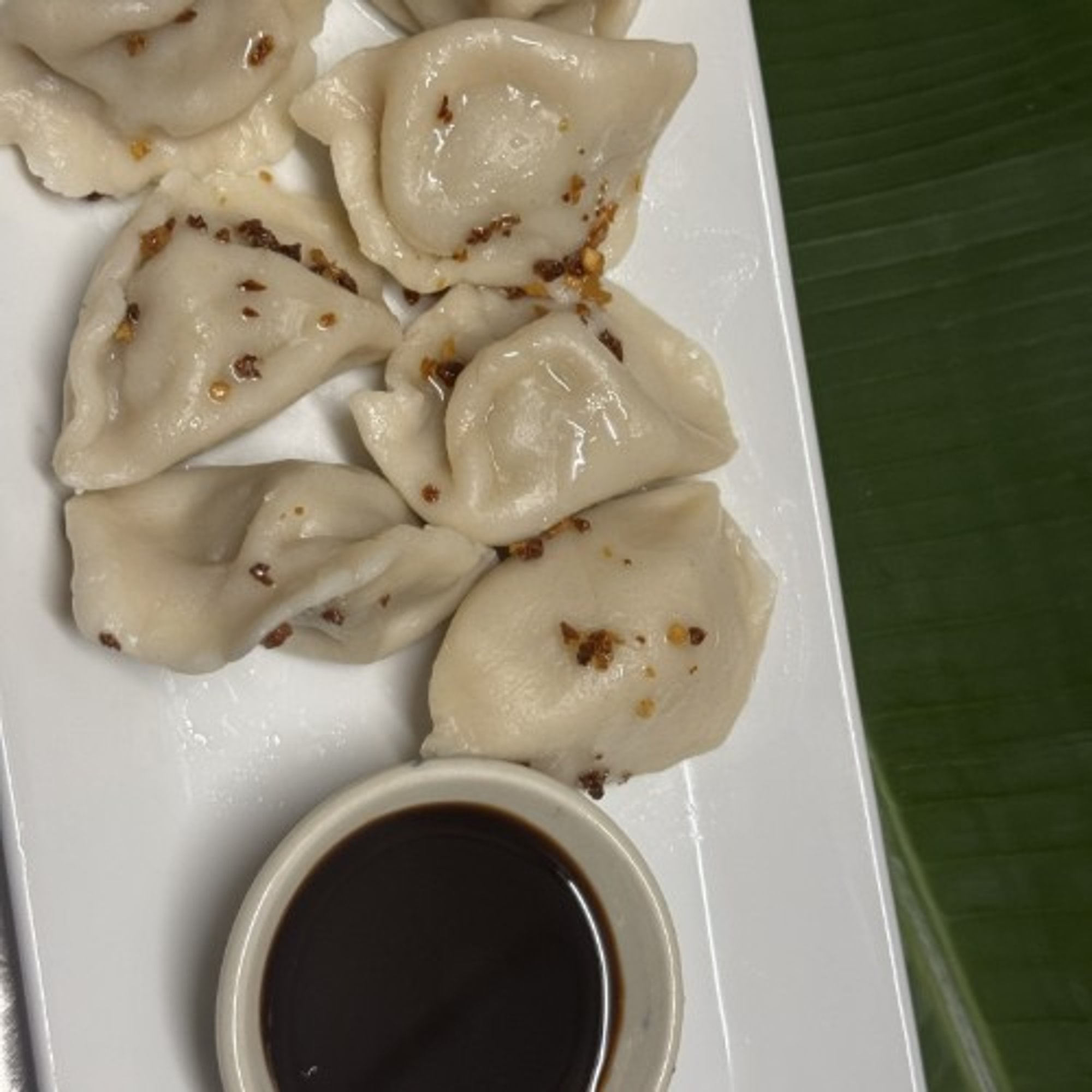 Pork Dumplings