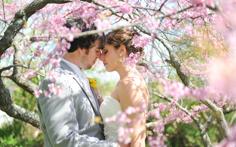 The Oaks Waterfront Inn & Events Photo