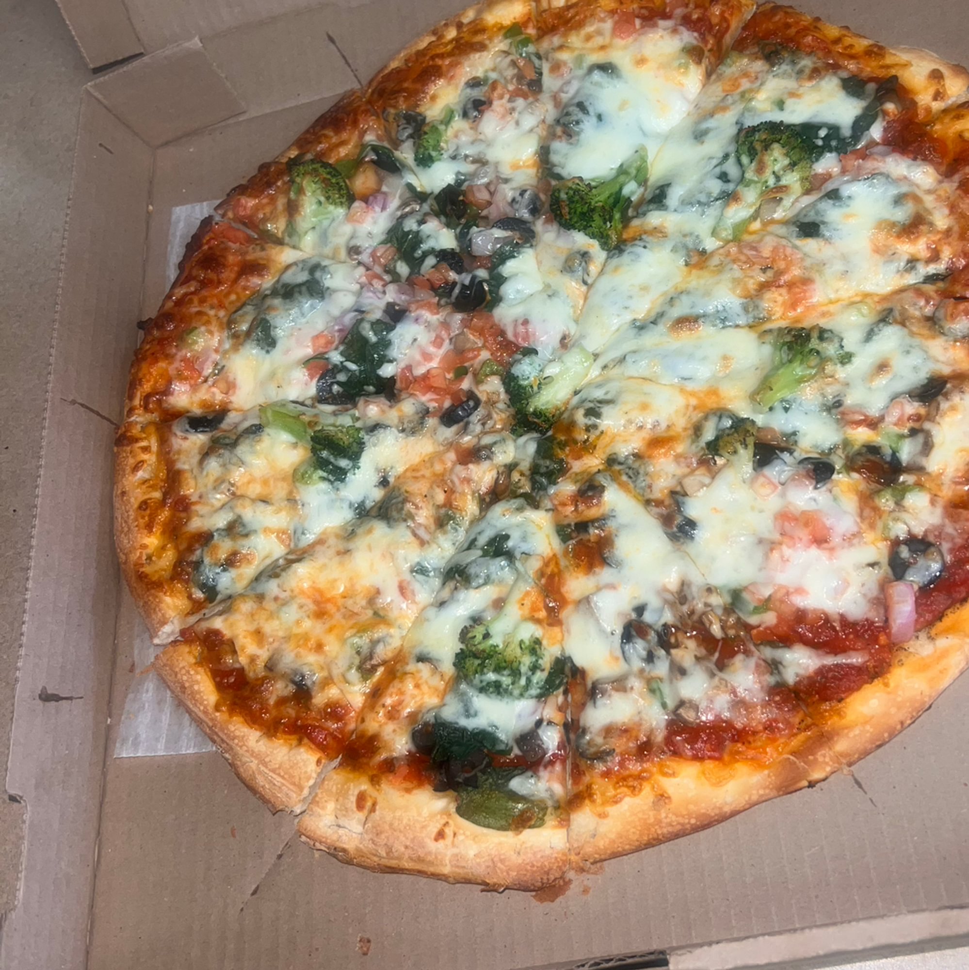 Vegetarian Pizza