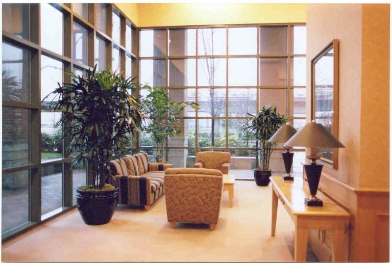 Images Carefree Greenery Ltd