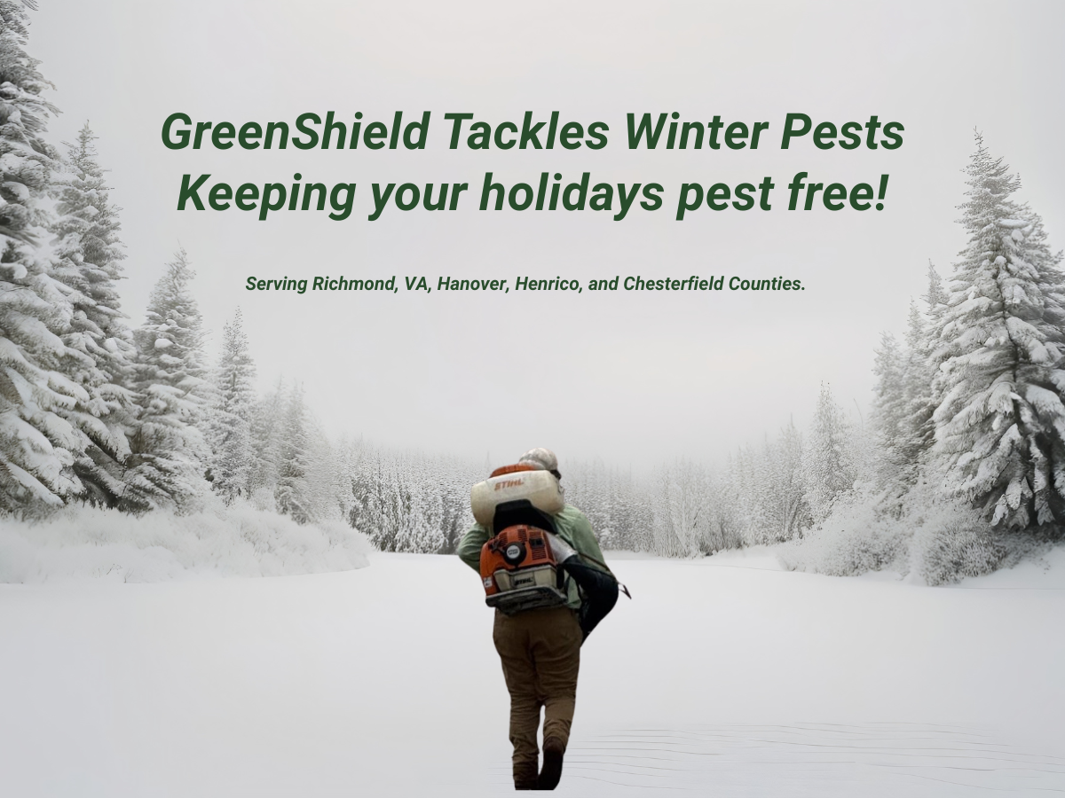 GreenShield Home & Pest Solutions - Richmond Image