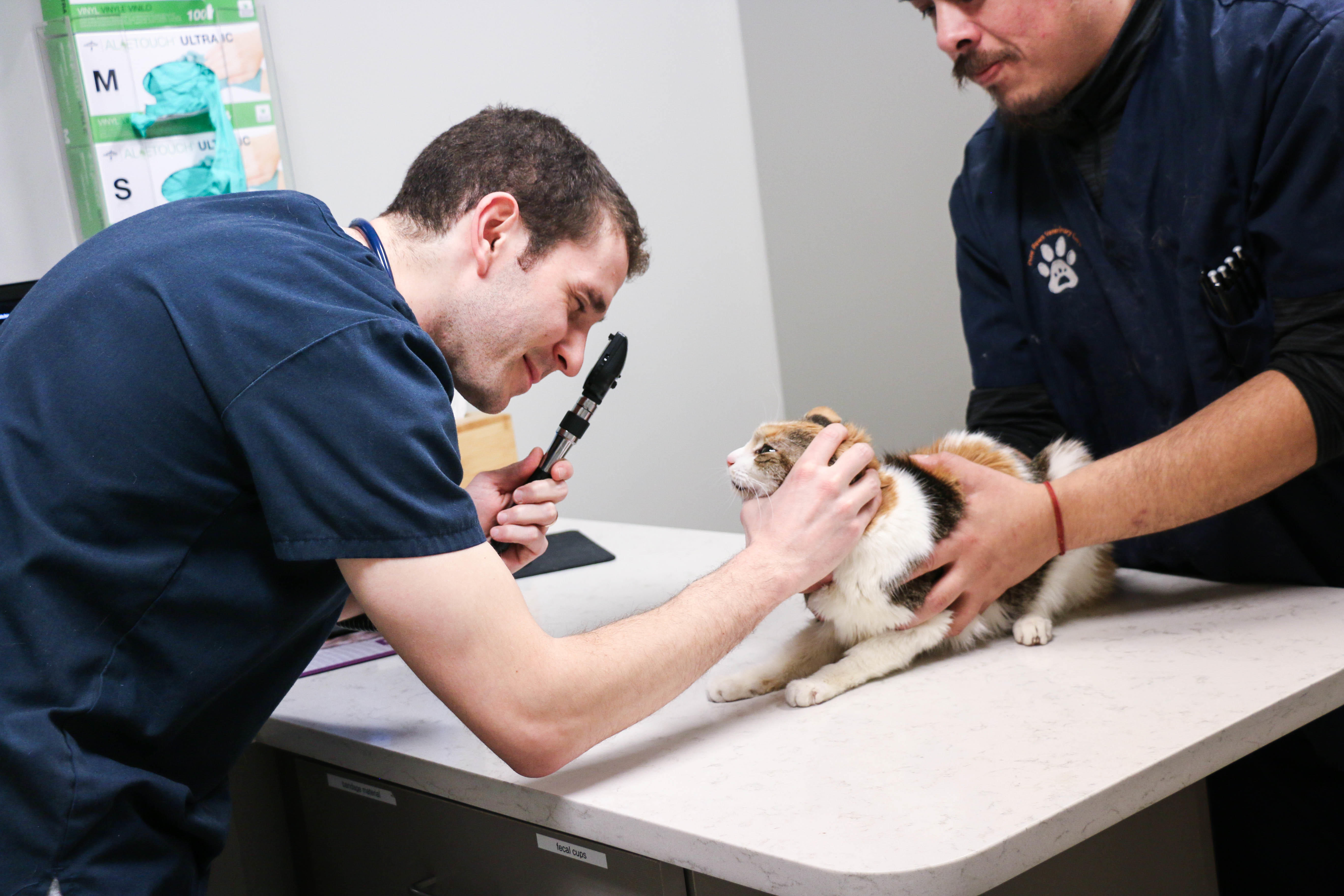 Pure Paws Veterinary Care of Hell's Kitchen Photo