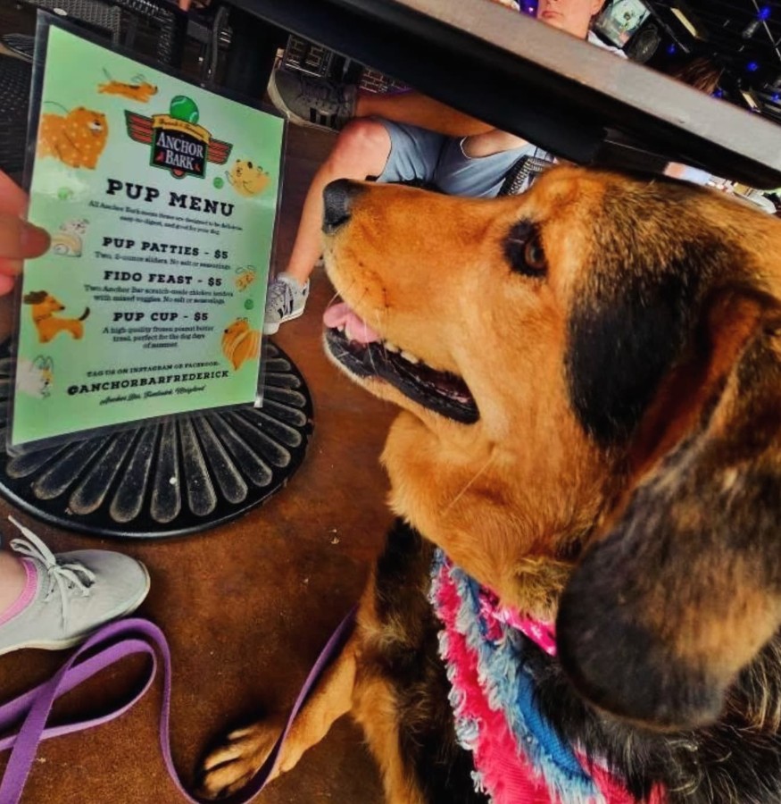 Anchor Bar Frederick Image