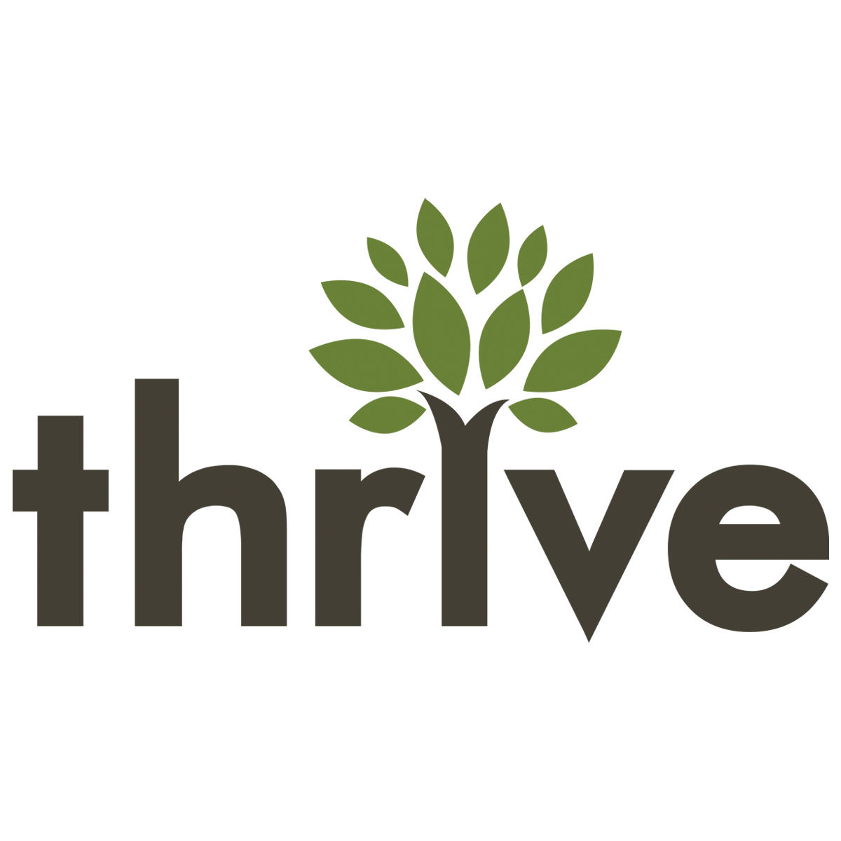 Thrive Internet Marketing Agency Photo