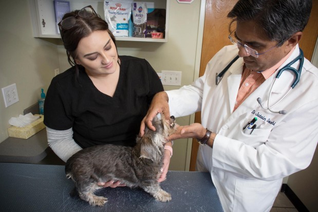 Rancho Bernardo Pet Hospital Photo