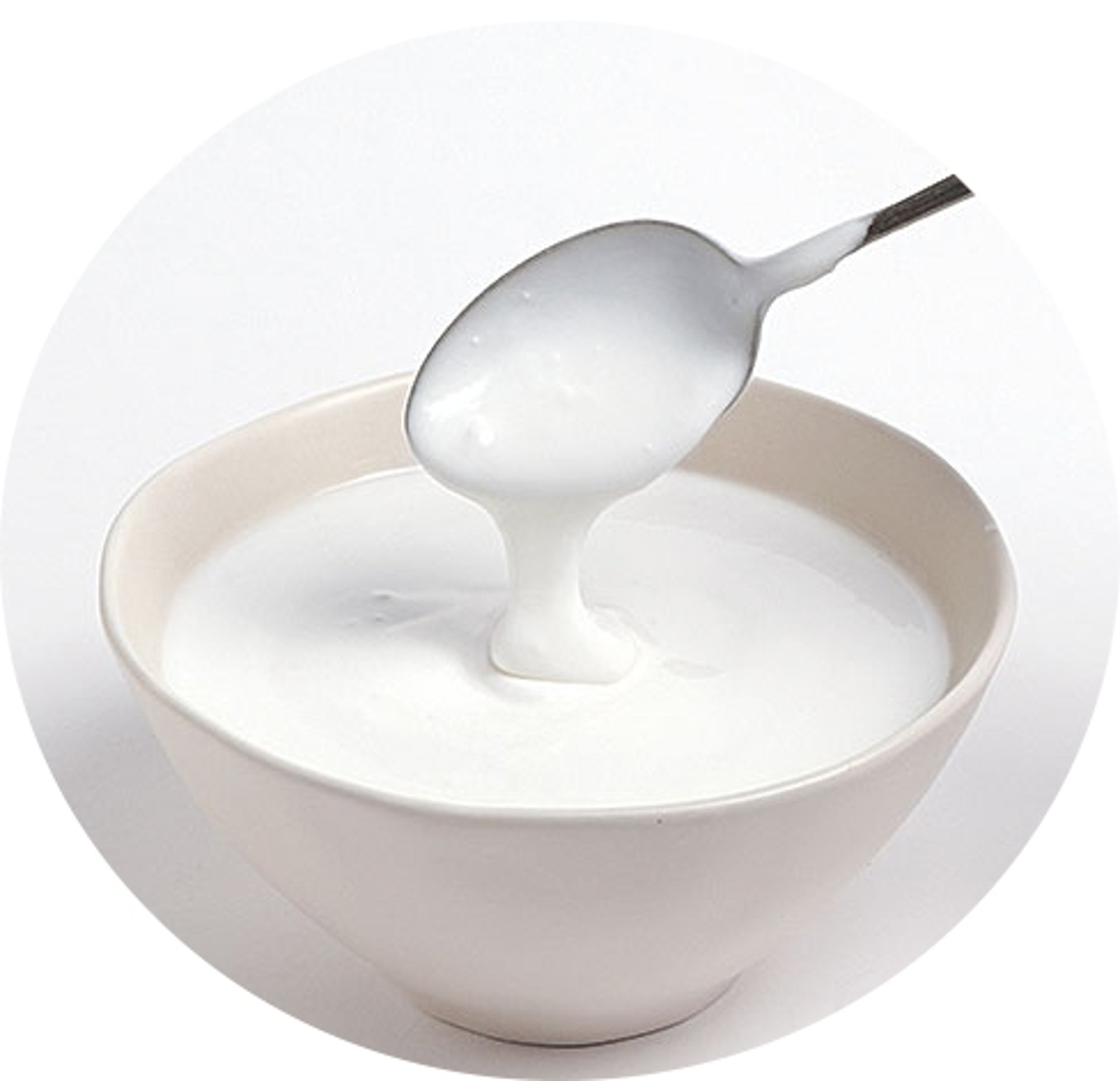 Plain Yogurt