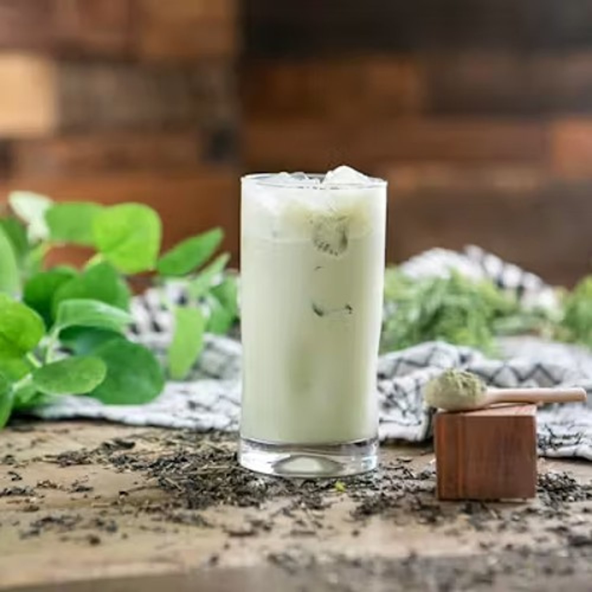 Matcha Milk Tea