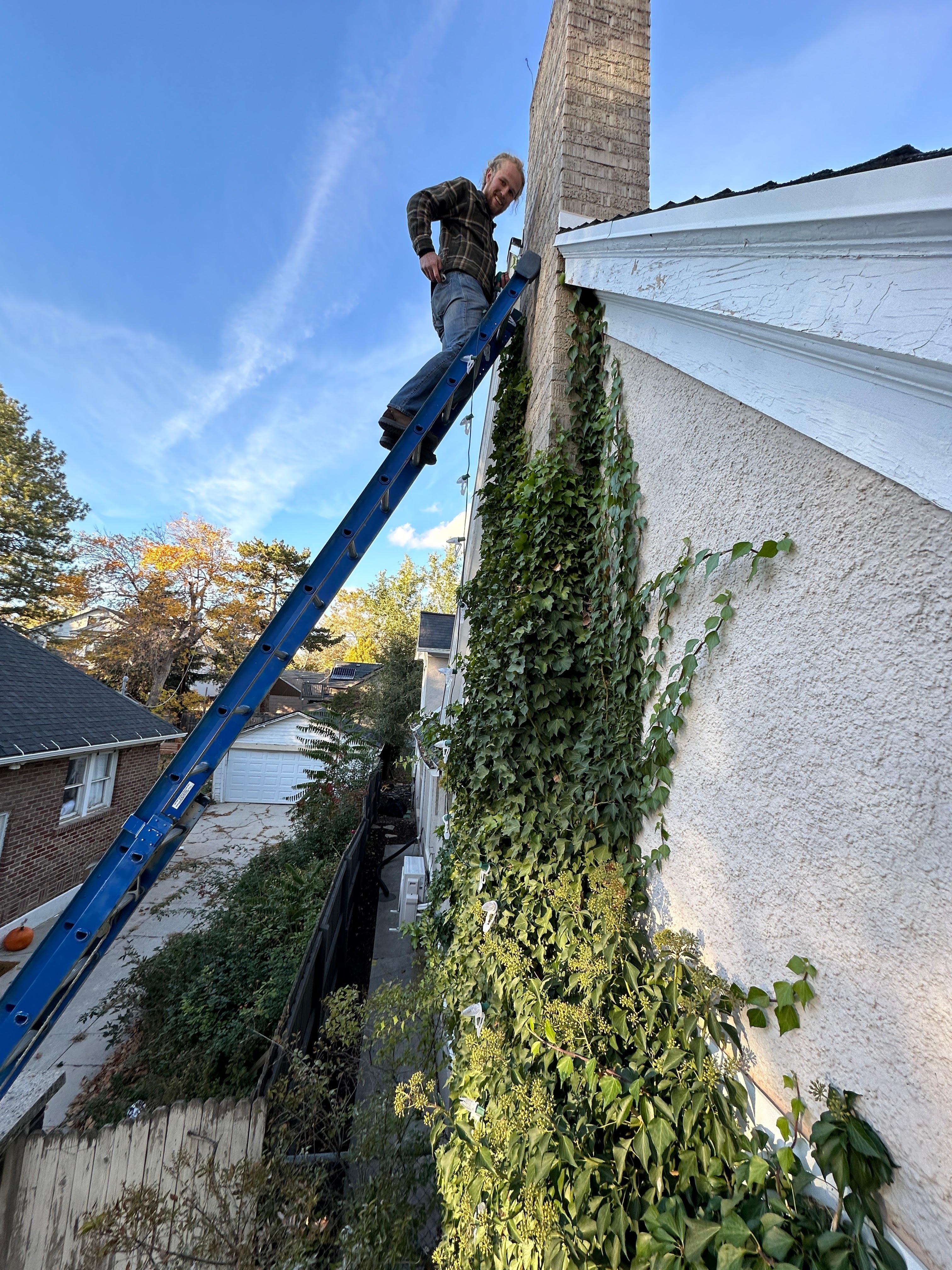 Salt Lake City Christmas Lights Image