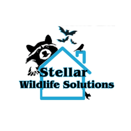 Stellar Wildlife Solutions