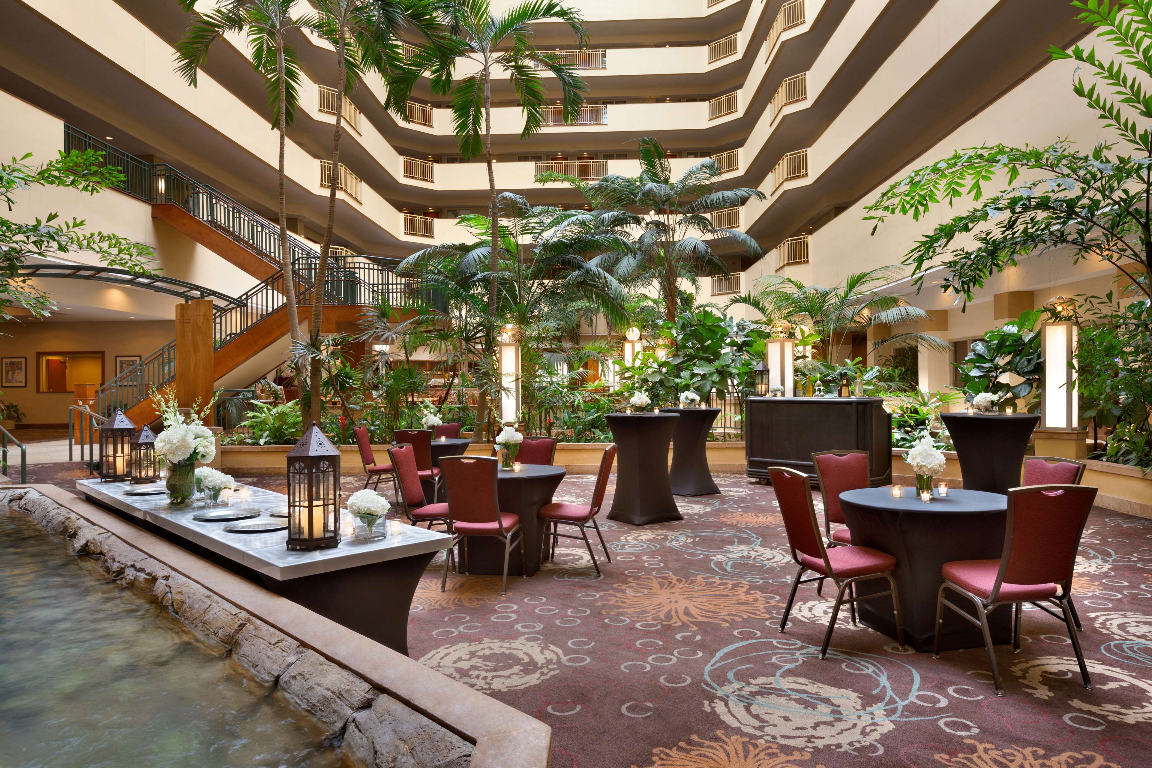 Embassy Suites By Hilton Tampa Usf Near Busch Gardens 3705
