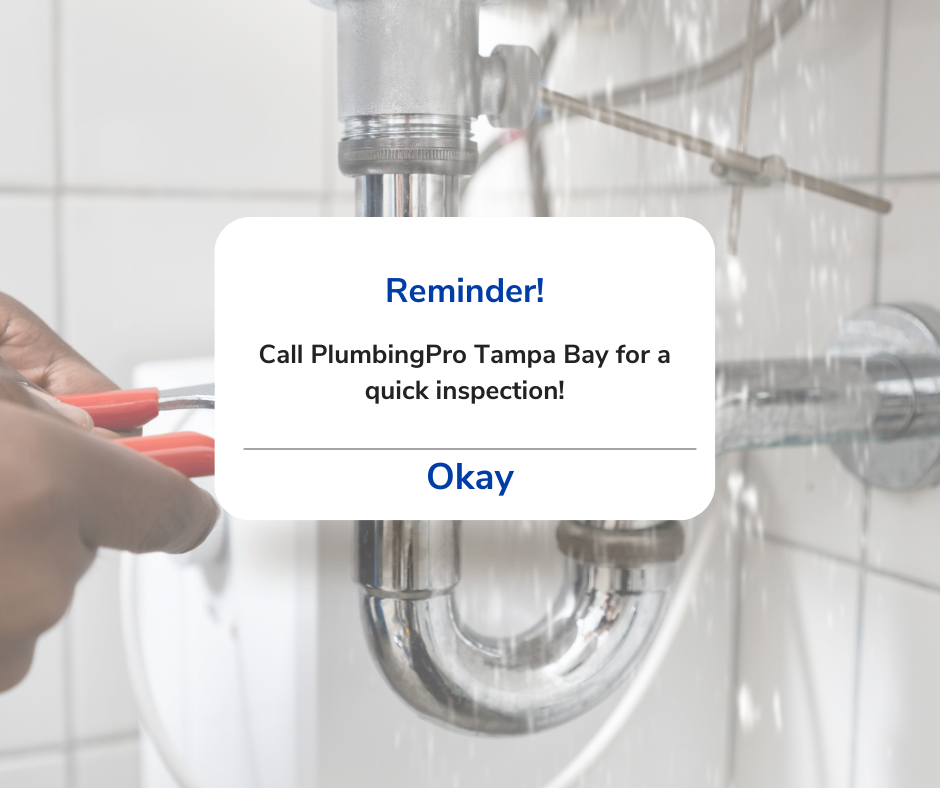 PlumbingPro Tampa Image