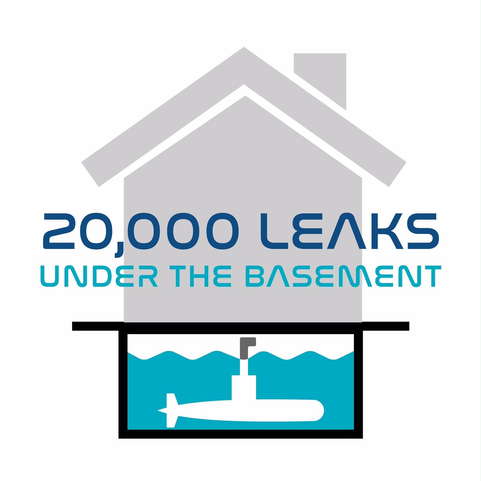 20000 Leaks Under the Basement 3236 Mountain Rd Pasadena ...