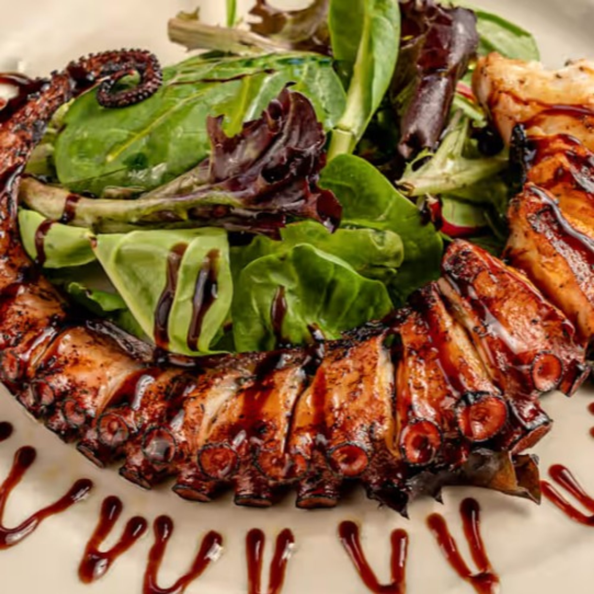 Grilled Octopus
