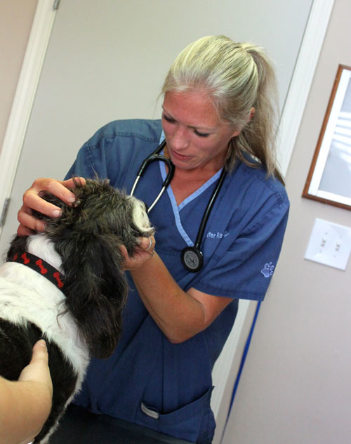 North Lexington Veterinary Clinic Photo