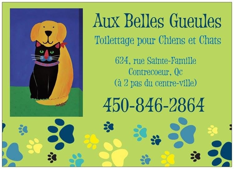 Aux Belles Gueules Toilettage
